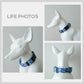Personalized Blueberry Dog Collar and Leash Set, Engraved Name Buckle, Lightweight Nylon Pet Accessory