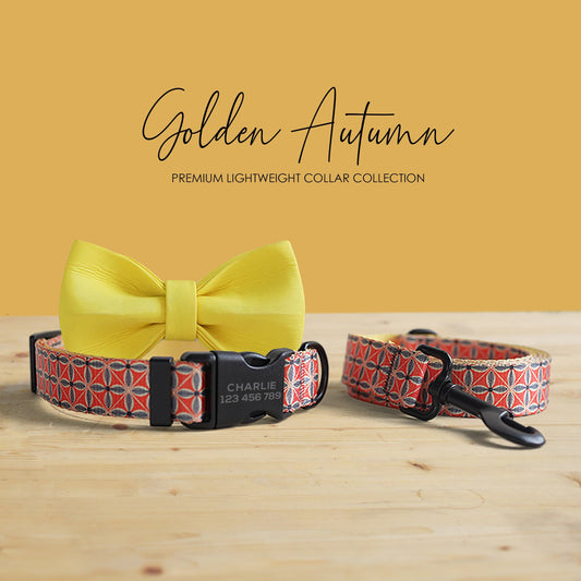 Golden Autumn Dog Collar Leash Bowtie Set: Personalized Engraved Buckle, Lightweight Nylon Pet Accessories