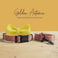 Golden Autumn Dog Collar Leash Bowtie Set: Personalized Engraved Buckle, Lightweight Nylon Pet Accessories