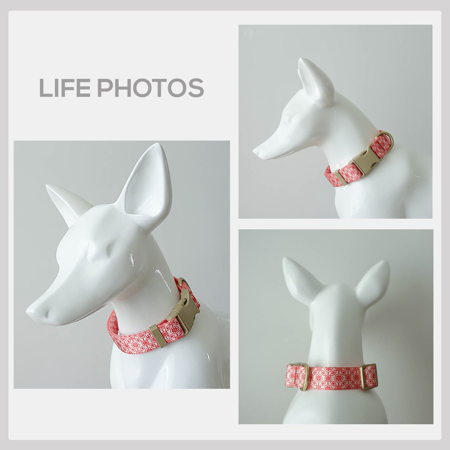 Personalized Nylon Dog Collar, Leash, Bowtie with Engraved Name Buckle