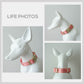 Personalized Nylon Dog Collar, Leash, Bowtie with Engraved Name Buckle