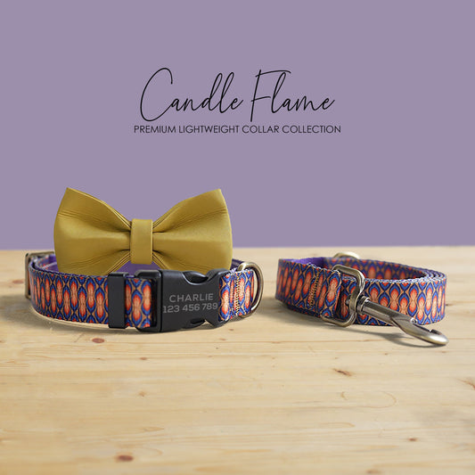 Personalized Dog Collar and Leash Set, Engraved Name Buckle, Nylon Fabric, Lightweight Dog Accessories