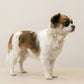 Personalized Lace Dog Collar with Engraved Buckle, Bowtie and Leash Set