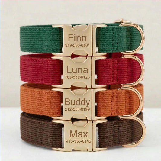 Personalized Corduroy Dog Collar, Engraved Gold Buckle Pet Accessory, Small to Large Breeds