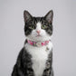 Personalized Cat Collar Safety Buckle | Pink Plaid Polyester | Adjustable 19-30cm
