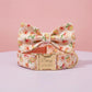Personalized Dog Collar Set | Pink Peach Pattern | Braided Nylon Rope Leash