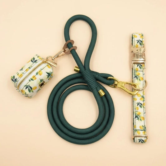Personalized Lemon Dog Collar Set | Custom Pet Name, Phone Number, Poop Bag Holder, Rope Leash