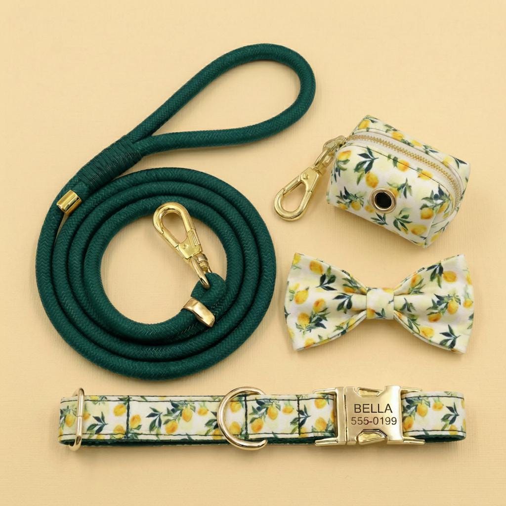 Personalized Lemon Dog Collar Set | Custom Pet Name, Phone Number, Poop Bag Holder, Rope Leash