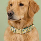 Lemon Print Dog Harness Set | Personalized Collar, Leash, Poop Bag Holder | Braided Nylon Rope