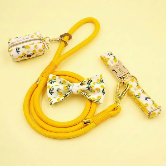 Lemon Print Dog Collar, Leash, and Poop Bag Holder Set | Personalized Pet Gear