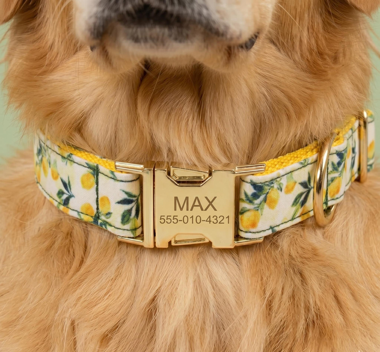 Lemon Print Dog Collar, Leash, and Poop Bag Holder Set | Personalized Pet Gear