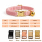 Personalized Cat Collar with Name Plate, Bell & Bow Tie, Custom Engraved Kitten Collar, Teddy Bear Cat Gift