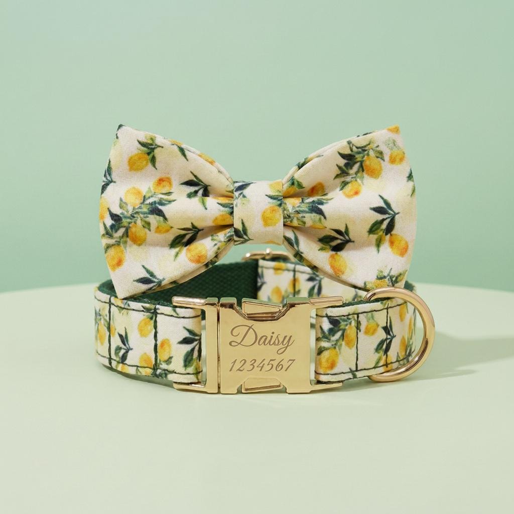 Personalized Lemon Dog Collar Set | Custom Pet Name, Phone Number, Poop Bag Holder, Rope Leash