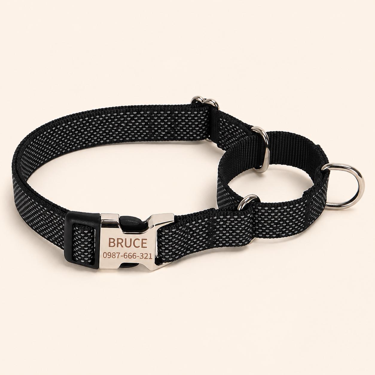 Personalized Reflective Martingale Dog Collar & Leash Set, Custom Nylon No-Slip Collar for Whippet Greyhound Sighthound, Engraved Buckle