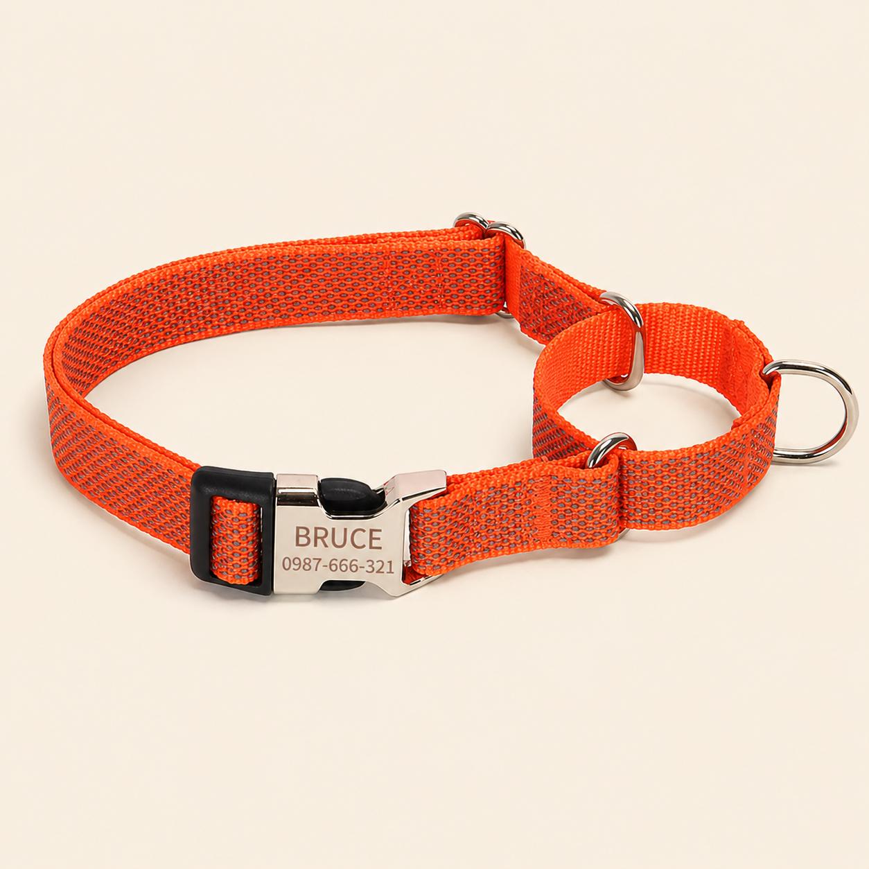 Personalized Reflective Martingale Dog Collar & Leash Set, Custom Nylon No-Slip Collar for Whippet Greyhound Sighthound, Engraved Buckle