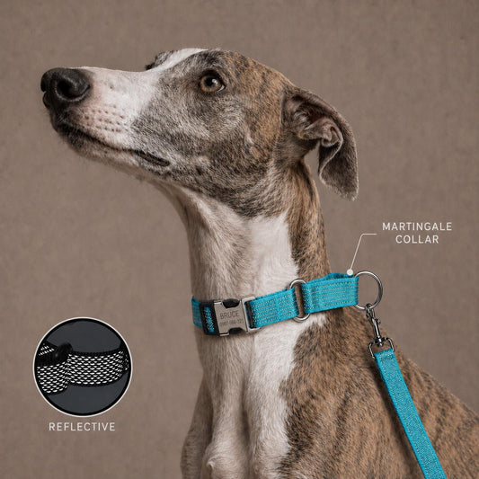 Black No Pull Sighthound Harness, Optional Engraved Martingale Collar & Optional Leash for Whippet Greyhound, Reflective Dog Set
