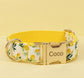 Lemon Print Dog Collar, Leash, and Poop Bag Holder Set | Personalized Pet Gear