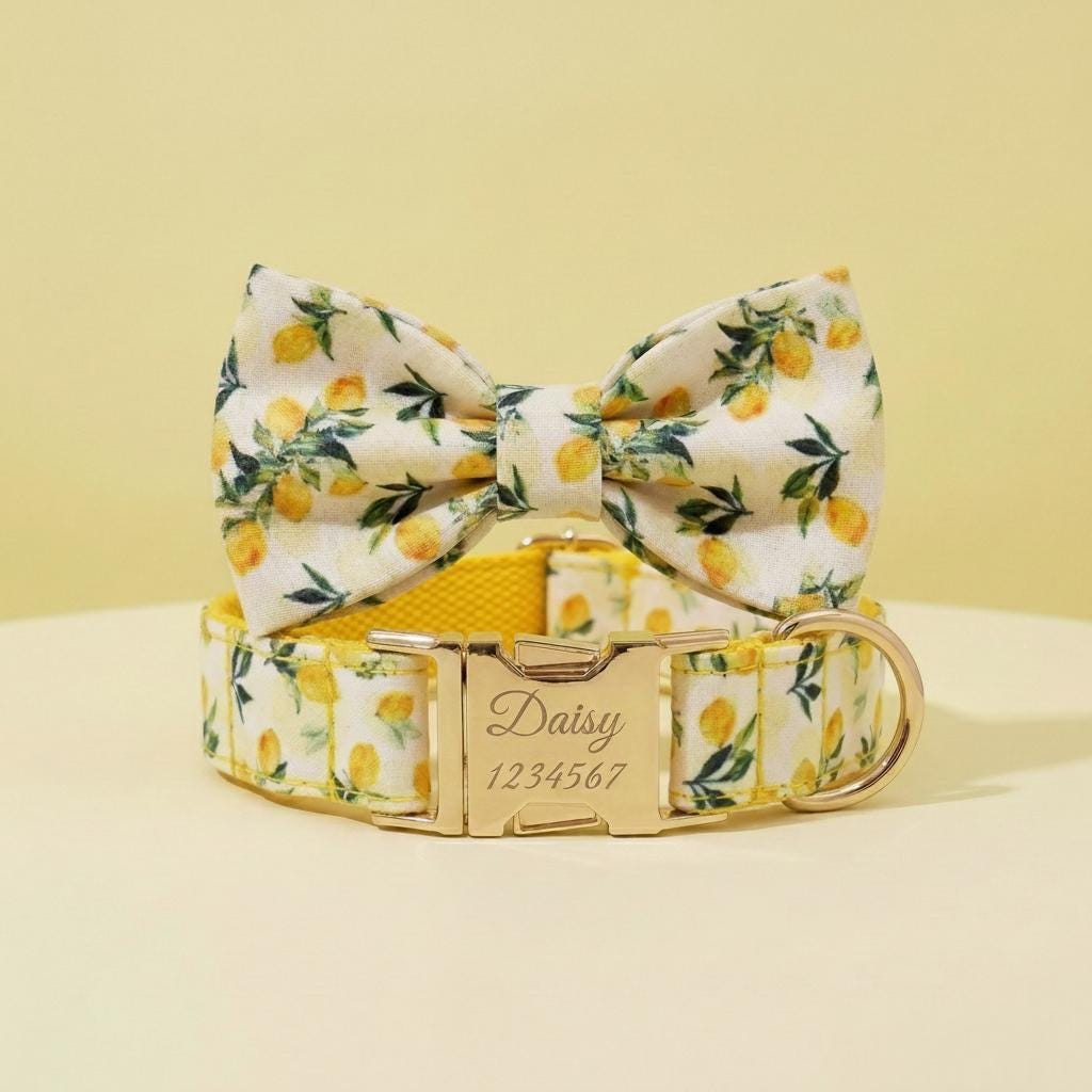 Lemon Print Dog Collar, Leash, and Poop Bag Holder Set | Personalized Pet Gear