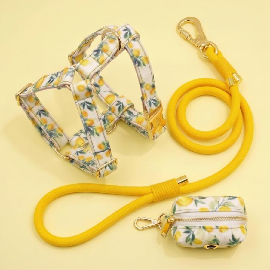 Lemon Print Dog Collar, Leash, and Poop Bag Holder Set | Personalized Pet Gear