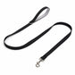 Personalized Reflective Martingale Dog Collar & Leash Set, Custom Nylon No-Slip Collar for Whippet Greyhound Sighthound, Engraved Buckle