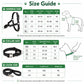 Orange No Pull Dog Harness, Hi Vis Martingale Collar & Optional Leash for Whippet Greyhound Saluki Borzoi, Engraved Sighthound Set
