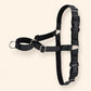 Black No Pull Sighthound Harness, Optional Engraved Martingale Collar & Optional Leash for Whippet Greyhound, Reflective Dog Set