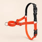 Orange No Pull Dog Harness, Hi Vis Martingale Collar & Optional Leash for Whippet Greyhound Saluki Borzoi, Engraved Sighthound Set