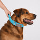Personalized Tactical Dog Collar with Handle, Heavy Duty Reflective Nylon K9 Collar, Adjustable Military Training Collar for Large Dogs