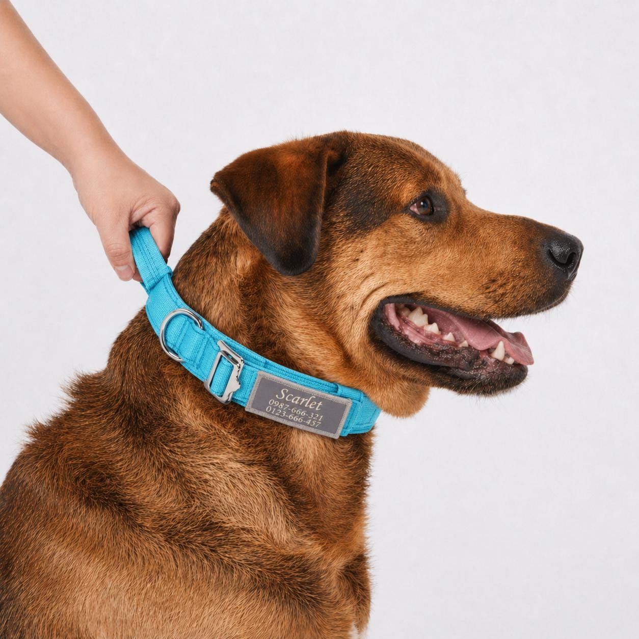 Tactical Dog Collar, Lightweight 1.5" Wide Nylon with Reflective Custom Name Sticker&Trim, Heavy Duty Bungee Leash with Car Seat Attachment