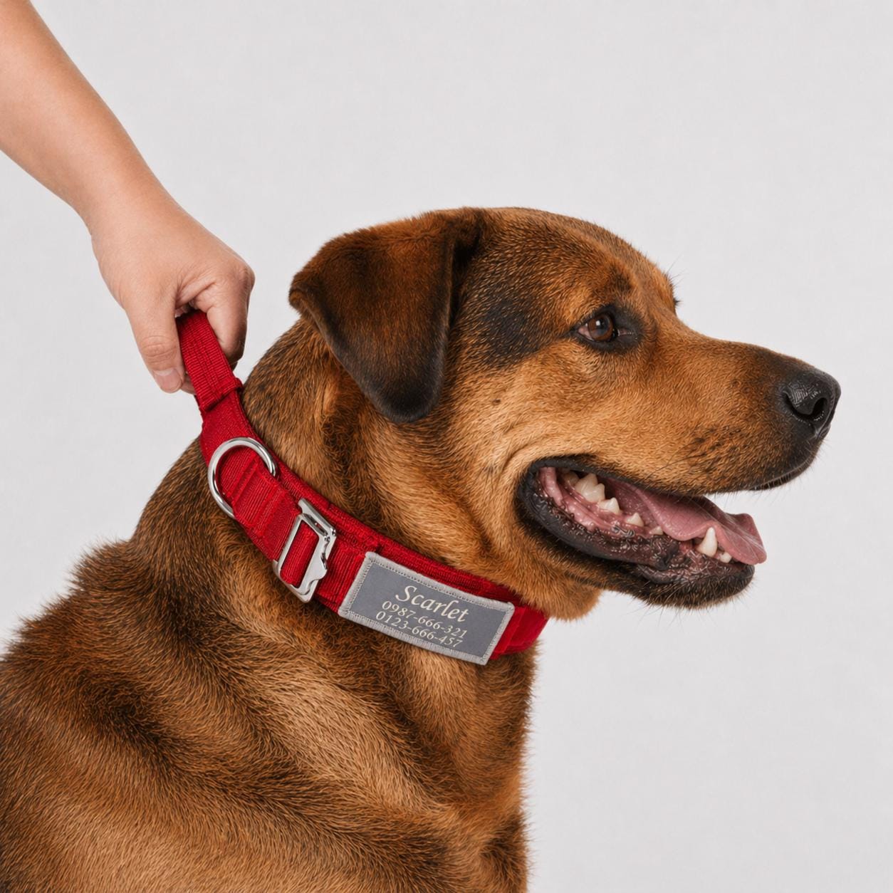 Personalized Tactical Dog Collar with Handle, Heavy Duty Reflective Nylon K9 Collar, Adjustable Military Training Collar for Large Dogs