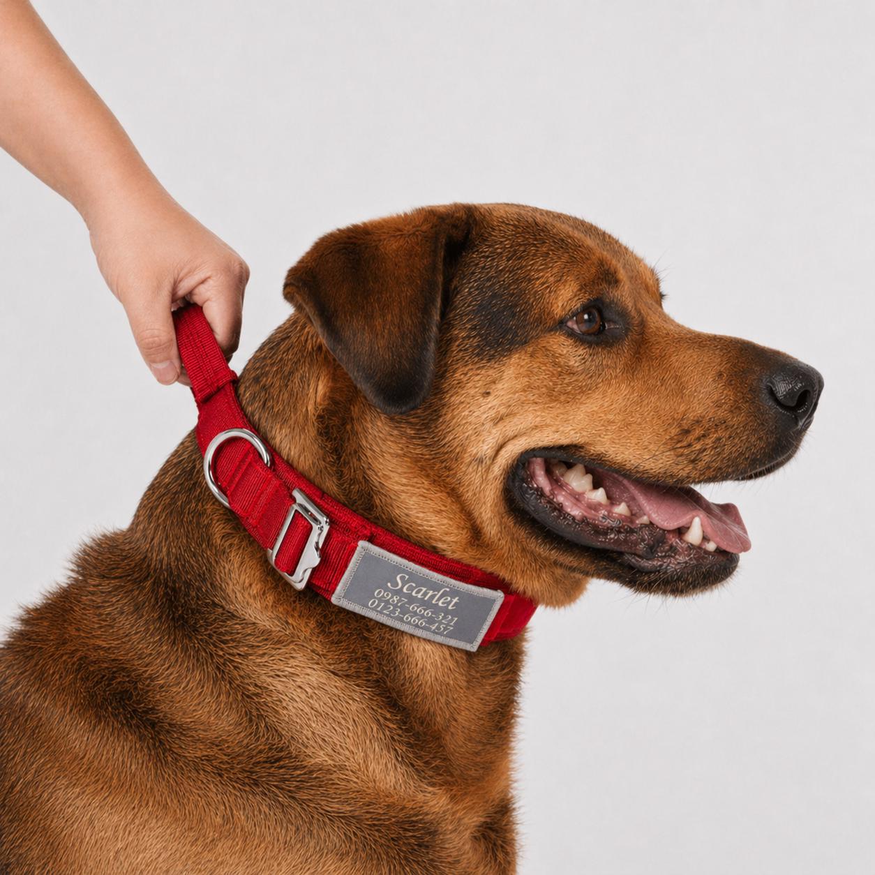 Tactical Dog Collar with Control Handle, Heavy Duty Lightweight Nylon Personalised Collar, 4 Colors, Reflective Adjustable K9 Dog Collar