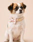 Floral Dog Collar Personalized, Girl Dog Collar with Engraved Name, Cute Flower Puppy Collar with Optional Bow Tie & Leash Set, Gift