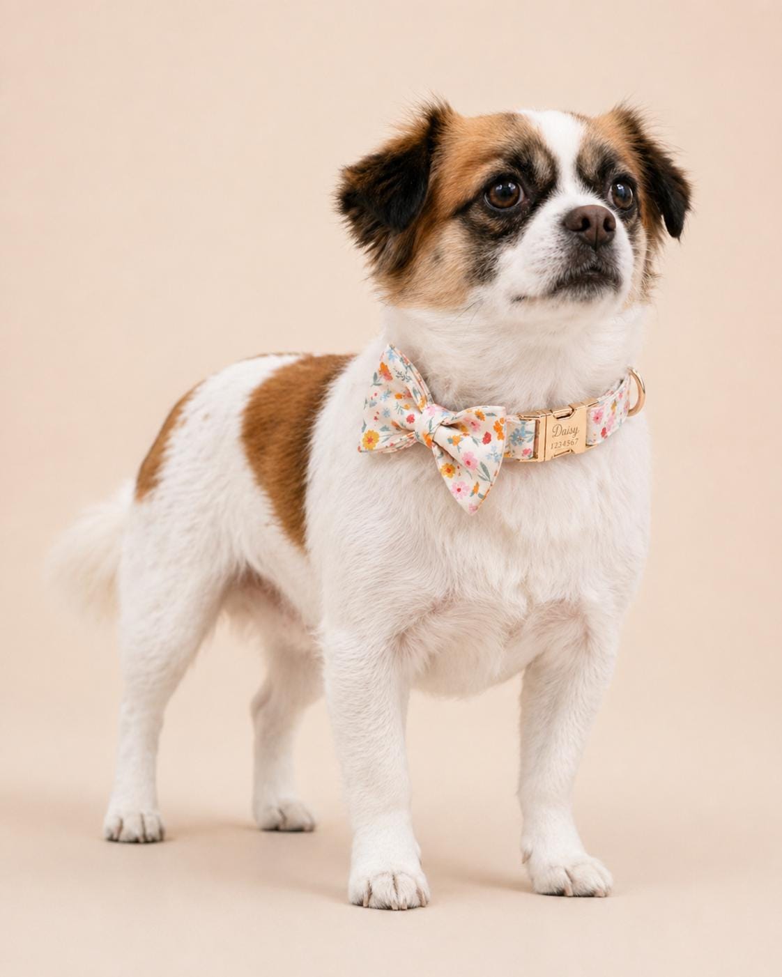 Floral Dog Collar Personalized, Girl Dog Collar with Engraved Name, Cute Flower Puppy Collar with Optional Bow Tie & Leash Set, Gift