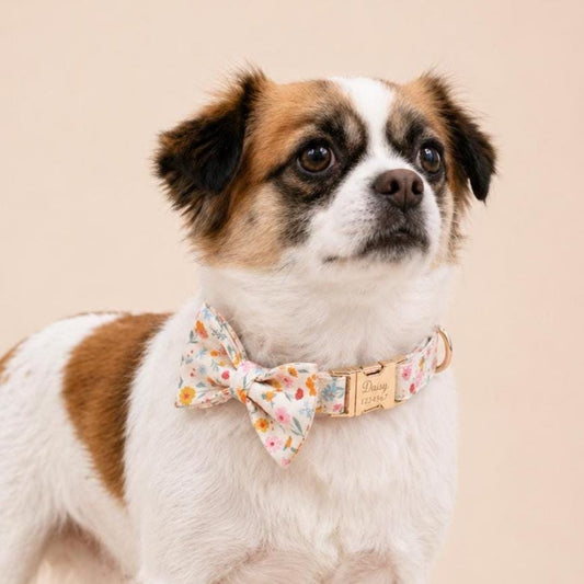 Floral Dog Collar with Bow Tie, Personalized Engraved Buckle, Spring Wildflower Puppy Collar, Custom Pet Collar Set with Name and Phone Gift
