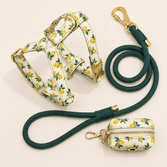 Lemon Print Dog Harness Set | Personalized Collar, Leash, Poop Bag Holder | Braided Nylon Rope