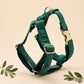 Personalized Forest Green Velvet Dog Harness Set | Christmas Dog Collar Leash Bow Flower Poop Bag | Custom Name | Mix & Match 7-Piece Set