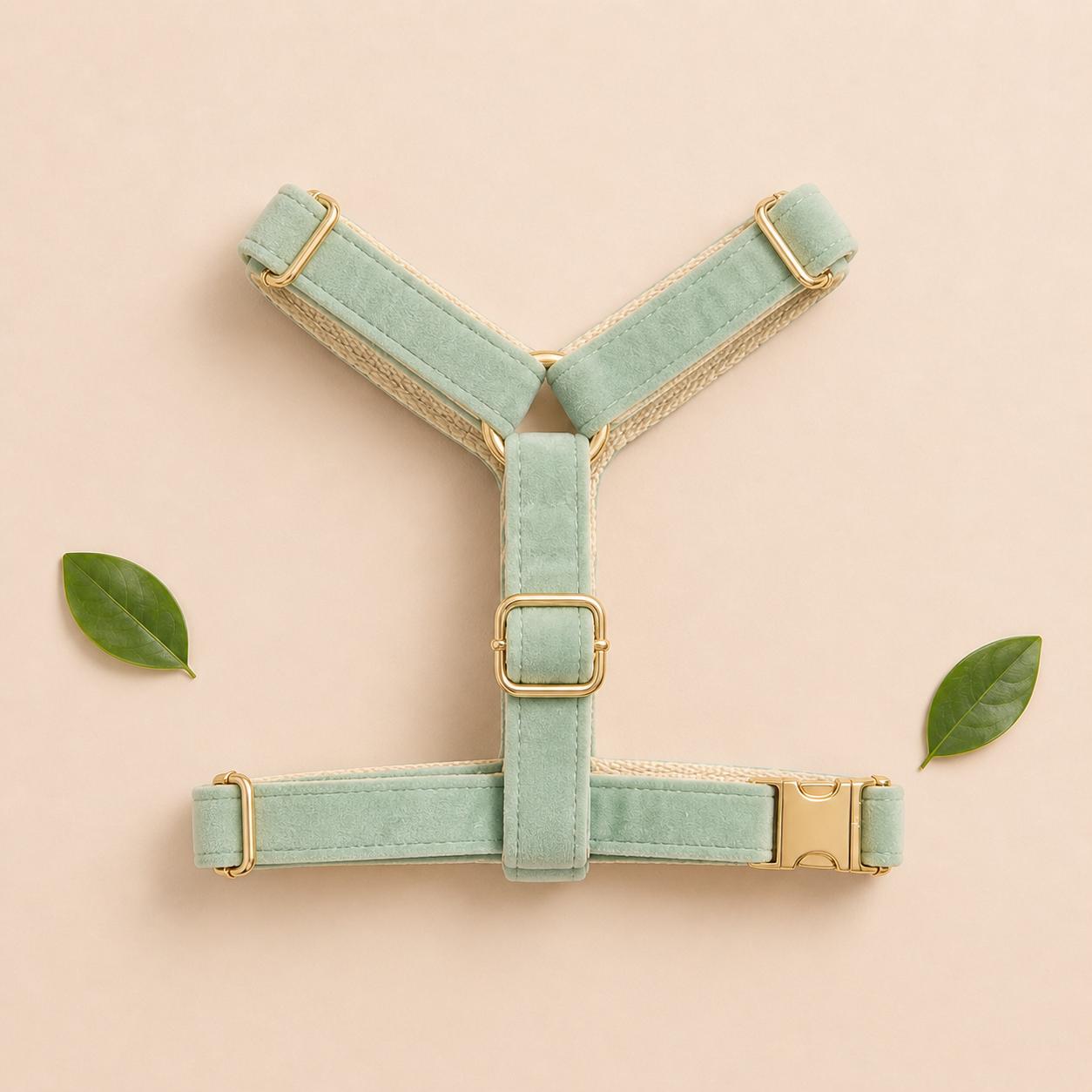 Personalized Sage Green Velvet Dog Harness Set | Custom Name Collar Leash Bow Flower Poop Bag | Mix & Match 7-Piece Set