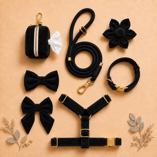 Custom Black Velvet Dog Harness Set | Personalized Name Collar Rope Leash Bow Poop Bag | Mix & Match 7-Piece Set