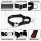 Black No Pull Sighthound Harness, Optional Engraved Martingale Collar & Optional Leash for Whippet Greyhound, Reflective Dog Set