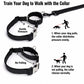 Black No Pull Sighthound Harness, Optional Engraved Martingale Collar & Optional Leash for Whippet Greyhound, Reflective Dog Set