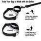 Orange No Pull Dog Harness, Hi Vis Martingale Collar & Optional Leash for Whippet Greyhound Saluki Borzoi, Engraved Sighthound Set