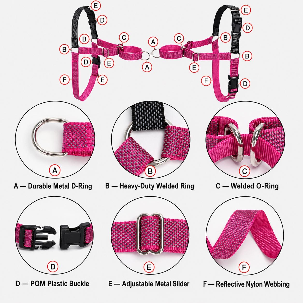 Orange No Pull Dog Harness, Hi Vis Martingale Collar & Optional Leash for Whippet Greyhound Saluki Borzoi, Engraved Sighthound Set
