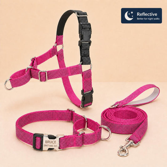 Magenta Reflective No Pull Dog Harness Set, Personalized Martingale Collar & Leash, Custom Engraved Whippet Greyhound Gift