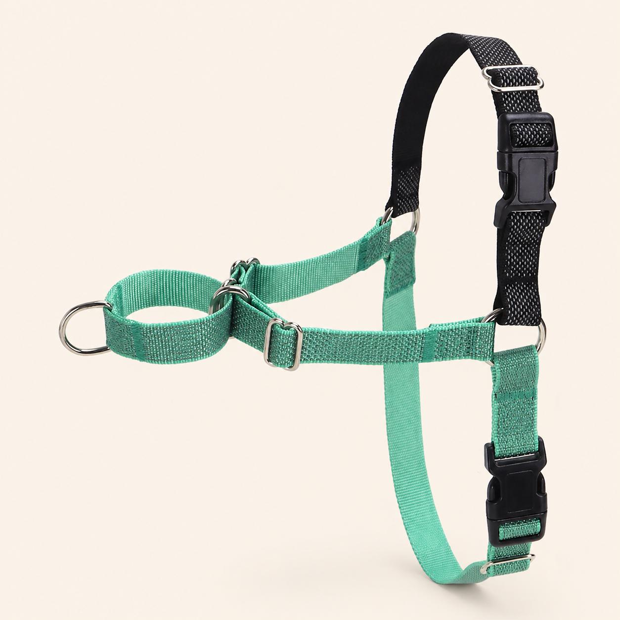 Mint Green Whippet Harness Set, Pastel Sighthound No Pull Harness, Optional Personalised Martingale Collar & Optional Matching Leash