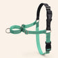 Mint Green Whippet Harness Set, Pastel Sighthound No Pull Harness, Optional Personalised Martingale Collar & Optional Matching Leash
