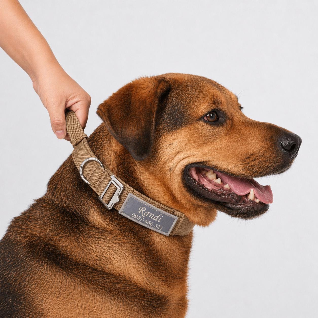 Tactical Dog Collar with Control Handle, Heavy Duty Lightweight Nylon Personalised Collar, 4 Colors, Reflective Adjustable K9 Dog Collar