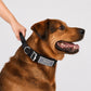 Personalized Tactical Dog Collar with Handle, Heavy Duty Reflective Nylon K9 Collar, Adjustable Military Training Collar for Large Dogs