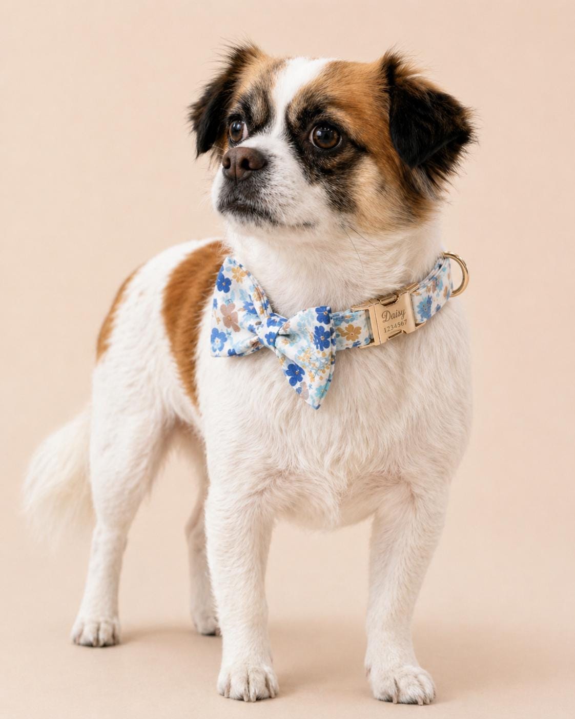 Floral Dog Collar with Bow Tie, Personalized Engraved Buckle, Spring Wildflower Puppy Collar, Custom Pet Collar Set with Name and Phone Gift
