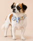 Floral Dog Collar with Bow Tie, Personalized Engraved Buckle, Spring Wildflower Puppy Collar, Custom Pet Collar Set with Name and Phone Gift
