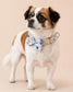 Spring Floral Dog Collar, Optional Matching Bow Tie, Leash, Personalized Engraved Pet Collar Set, Custom Garden Puppy Collar Gift